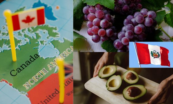 Exportaciones no tradicionales del Perú a Canadá