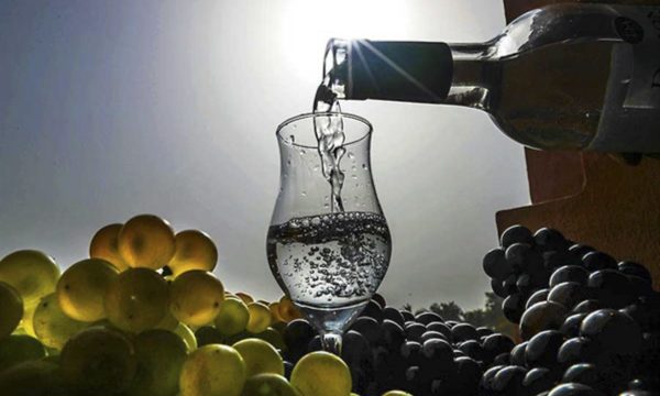 Exportaciones de pisco alcanzaron los us$3.8 millones