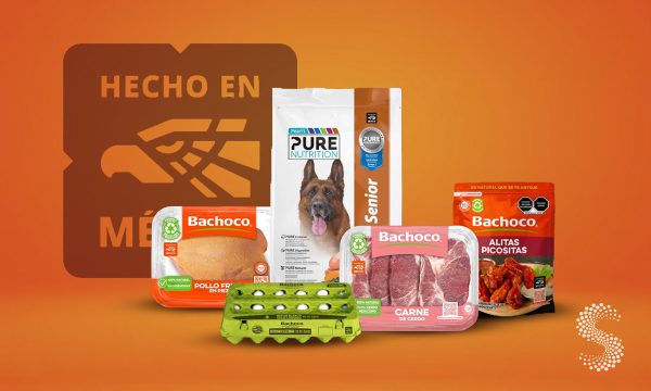 Bachoco