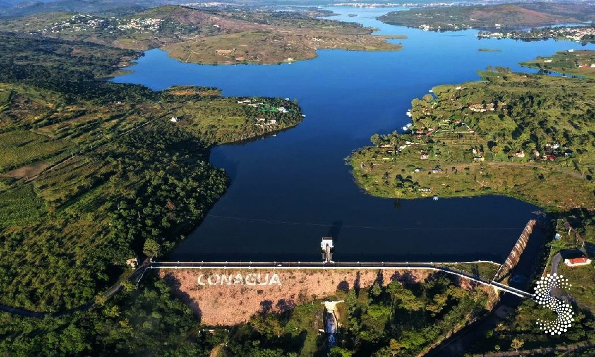 Puebla impulsa el aprovechamiento del lirio acuático de Valsequillo .